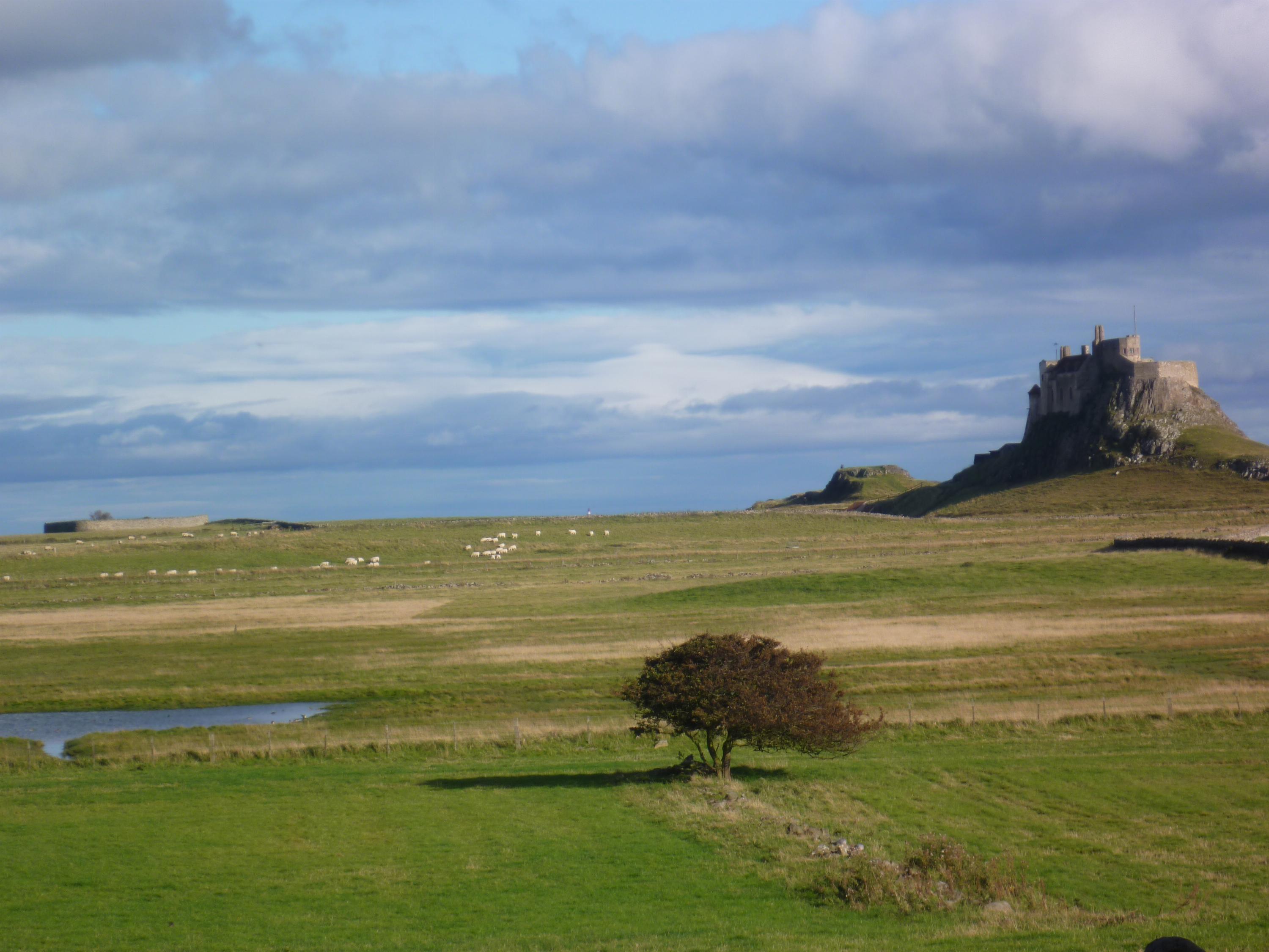 Inner Farne is where Cuthbert was hermit | Celtic Glory